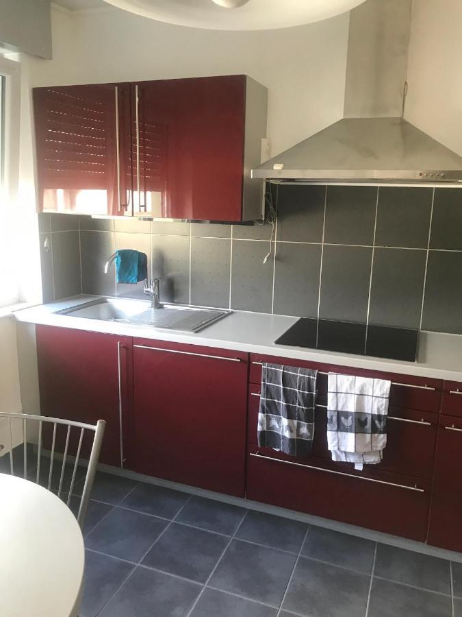 Appartement L'Oeil De Colmar Bagian luar foto